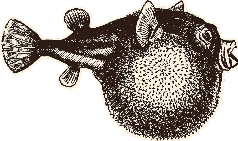 Illustration d'un poisson décoratif